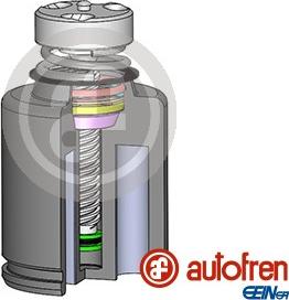 AUTOFREN SEINSA D025234LK - Mäntä, jarrusatula inparts.fi