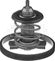 Borg & Beck BBT393 - Termostaatti, jäähdytysneste inparts.fi