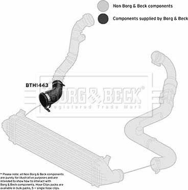 Borg & Beck BTH1443 - Ahdinletku inparts.fi