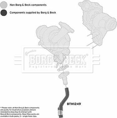 Borg & Beck BTH1249 - Ahdinletku inparts.fi