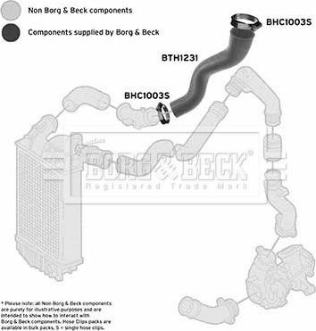 Borg & Beck BTH1231 - Ahdinletku inparts.fi