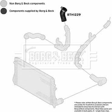 Borg & Beck BTH1229 - Ahdinletku inparts.fi