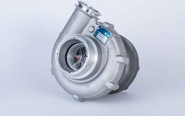 BorgWarner 53299887132 - Ahdin inparts.fi