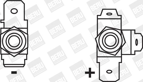 BorgWarner (BERU) ZS123 - Sytytyspuola inparts.fi