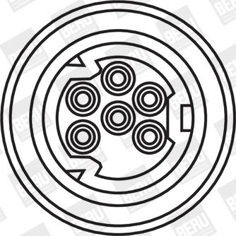 BorgWarner (BERU) ZS307 - Sytytyspuola inparts.fi