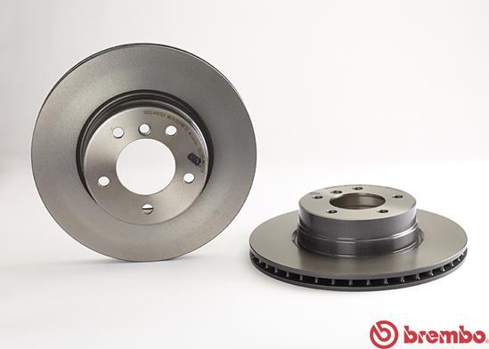 Brembo 09.9173.11 - Jarrulevy inparts.fi