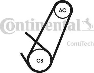 Continental 4PK924 ELAST T1 - Moniurahihna inparts.fi