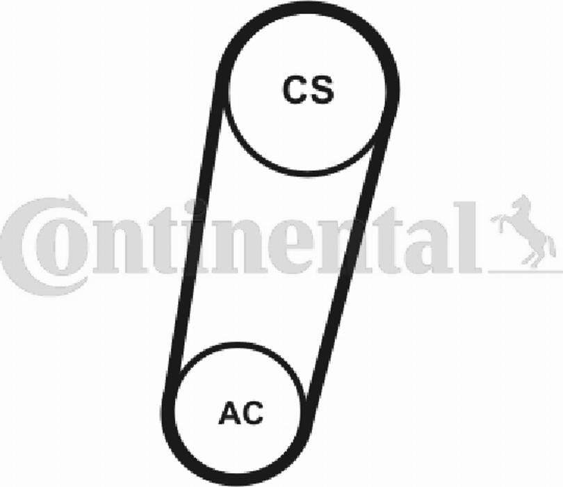 Contitech 5PK705T1 - Moniurahihna inparts.fi