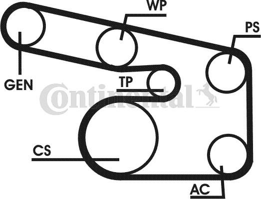 Contitech 6PK1900D1 - Moniurahihnasarja inparts.fi