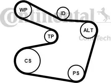 Continental 6PK1538K2 - Moniurahihnasarja inparts.fi