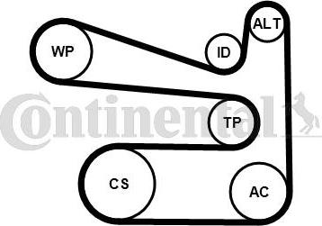 Contitech 6PK1693K1 - Moniurahihnasarja inparts.fi