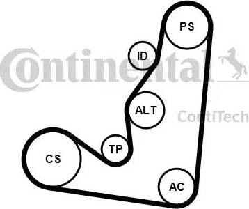 Continental 6PK1660K4 - Moniurahihnasarja inparts.fi