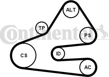Contitech 6 PK 1613 K1 - Moniurahihnasarja inparts.fi