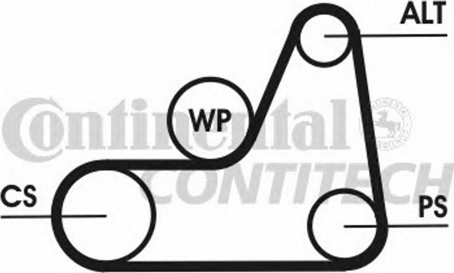 Contitech 6PK1042 ELAST T3 - Moniurahihna inparts.fi