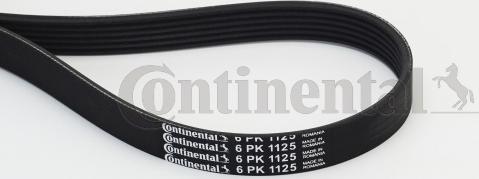 Contitech 6PK1125 - Moniurahihna inparts.fi