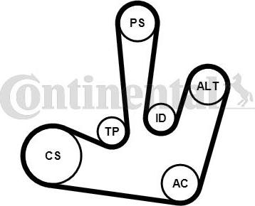 Contitech 6PK1795K1 - Moniurahihnasarja inparts.fi