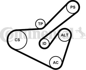 Contitech 6PK1725K2 - Moniurahihnasarja inparts.fi