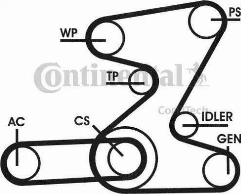 Continental 6PK2080D2 - Moniurahihna inparts.fi