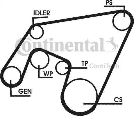 Continental 6PK2160D1 - Moniurahihna inparts.fi