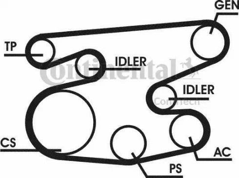 Continental 6PK2236D1 - Moniurahihnasarja inparts.fi