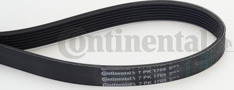 Contitech 7 PK 1705 - Moniurahihna inparts.fi