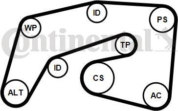 Continental 7PK2035K1 - Moniurahihnasarja inparts.fi