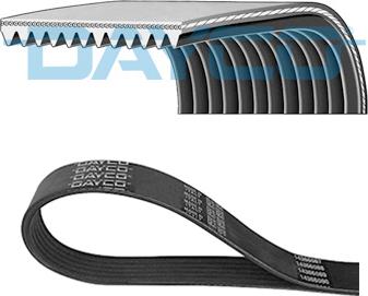 Dayco 11PK2871HD - Moniurahihna inparts.fi