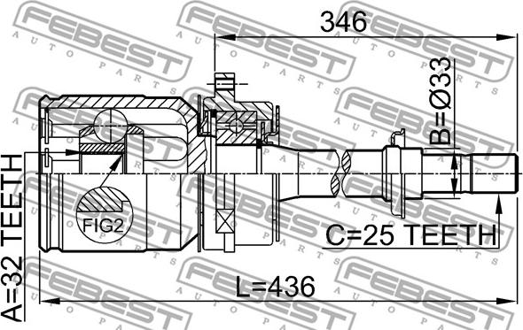 Febest 0211-SR20RH - Nivelsarja, vetoakseli inparts.fi