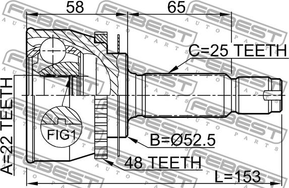 Febest 1210-012A48 - Nivelsarja, vetoakseli inparts.fi