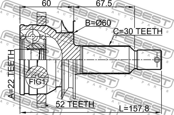 Febest 1210-CM10RA52 - Nivelsarja, vetoakseli inparts.fi