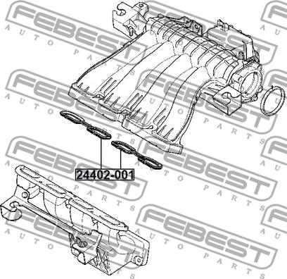 Febest 24402-001 - Tiiviste, imusarja inparts.fi