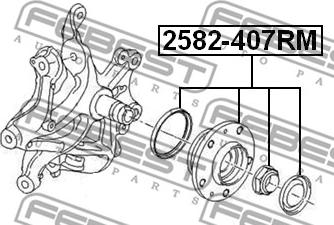 Febest 2582-407RM - Pyörän napa inparts.fi