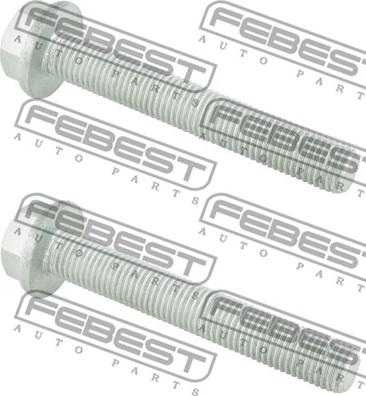 Febest 2098-001-PCS2 - Kiinnitysruuvi, tukivarsi inparts.fi