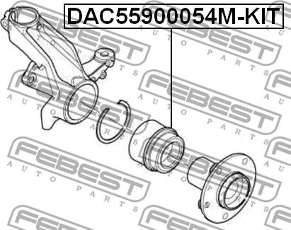 Febest DAC55900054M-KIT - Pyöränlaakerisarja inparts.fi