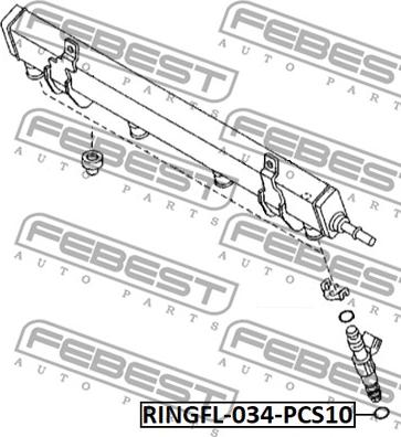 Febest RINGFL-034-PCS10 - Tiivisterengas, ruiskutusventtiili inparts.fi