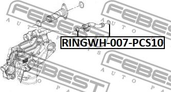 Febest RINGWH-007-PCS10 - Tiiviste, termostaattikotelo inparts.fi