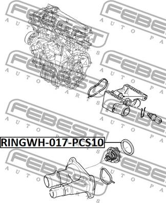 Febest RINGWH-017-PCS10 - Tiiviste, termostaattikotelo inparts.fi