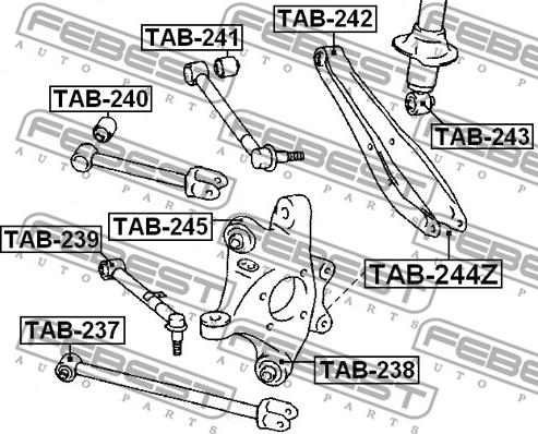 Febest TAB-244Z - Tukivarren hela inparts.fi