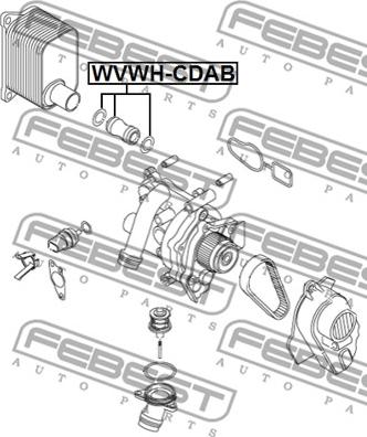 Febest VWWH-CDAB - Jäähdyttimen letku inparts.fi