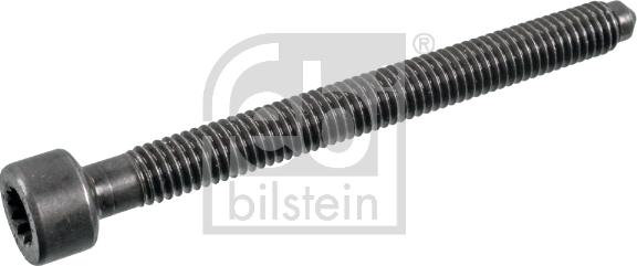 Febi Bilstein 176311 - Ruuvi ruiskutussuutinpidike inparts.fi