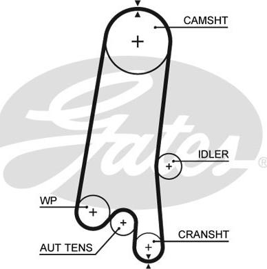 Gates 5597XS - Hammashihnat inparts.fi