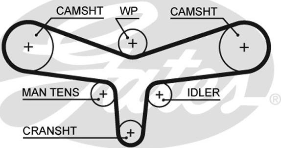 Gates 5557XS - Hammashihnat inparts.fi