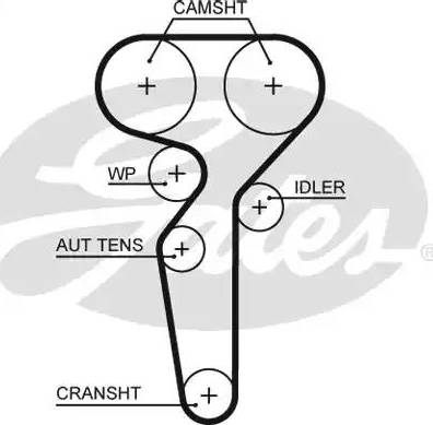 Gates 5655XS - Hammashihnat inparts.fi