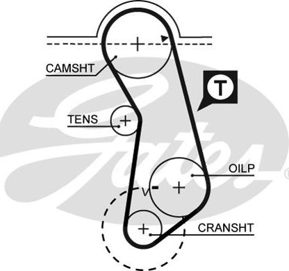 Gates 5016 - Hammashihnat inparts.fi