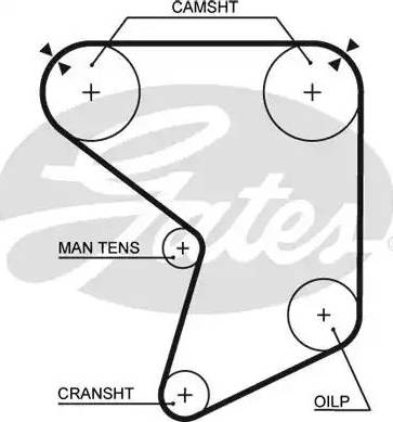 Gates 5166 - Hammashihnat inparts.fi