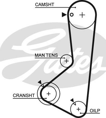 Gates 5372XS - Hammashihnat inparts.fi