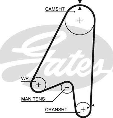 Gates 5239 - Hammashihnat inparts.fi