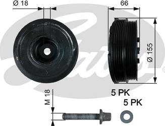 Gates TVD1037A - Hihnapyörä, kampiakseli inparts.fi