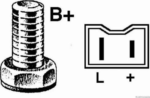 Herth+Buss Elparts 32038851 - Laturi inparts.fi