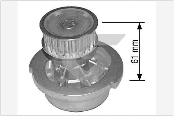 Hutchinson WP19 - Vesipumppu inparts.fi